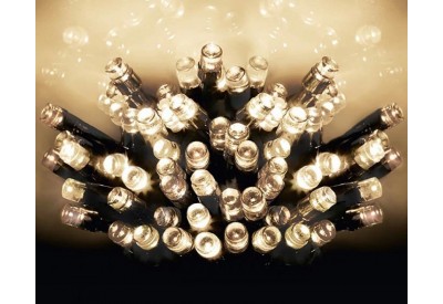 Premier 50 Multi-Action Battery Operated LED Time Lights - WARM WHITE
